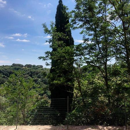 Ferienwohnung La Casa All'Oliveto Pitigliano Exterior foto