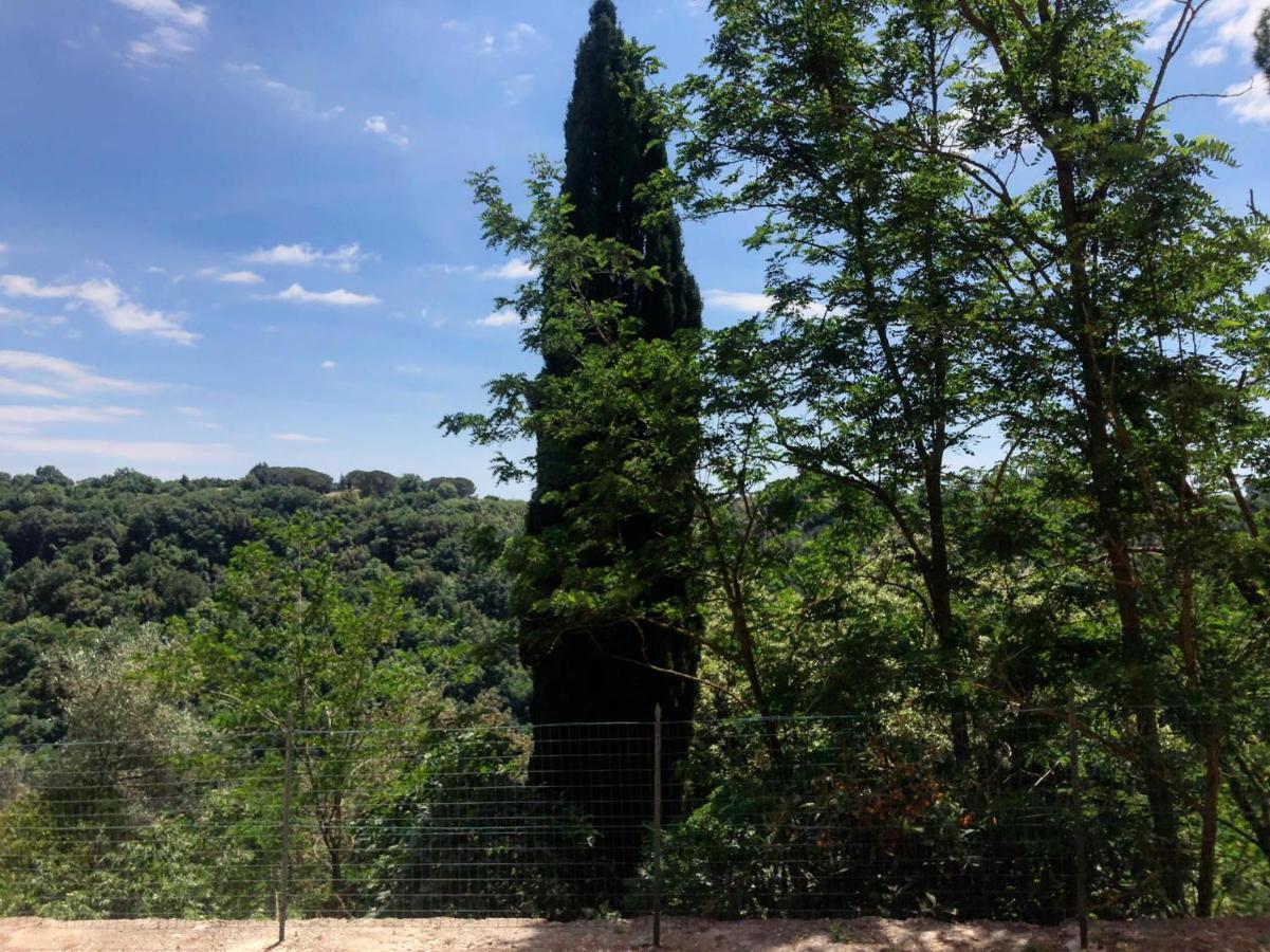 Ferienwohnung La Casa All'Oliveto Pitigliano Exterior foto